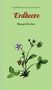 Margot Fischer: Erdbeere, Buch