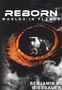 "REBORN: WORLDS IN FLAMES" oben, "BENJAMIN R. WIESBAUER" unten. Ein dramatisches Auge umgeben von Rauch und Flammen., Buch