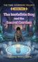 „The Invisible Boy and the Secret Garden“: Ein Junge berührt einen magischen Teich, umgeben von mystischem Garten., Buch