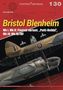 Anirudh Rao: Bristol Blenheim, Buch