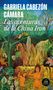 Gabriela Cabezon Camara: Las Aventuras de China Iron / The Adventures of China Iron, Buch