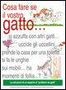 Claire Arrowsmith: Cosa fare se il vostro gatto..., Buch