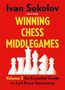 Ivan Sokolov: Winning Chess Middlegames Volume 2, Buch