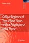 Eugene Barsky: Critical Regimes of Two-Phase Flows with a Polydisperse Solid Phase, Buch
