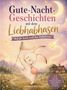 Victoria Berlinger: Gute-Nacht-Geschichten mit dem Liebhabhasen - Auf der Suche nach dem Zaubertraum, Buch, Buch