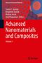 Advanced Nanomaterials and Composites, Buch
