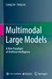 Text: "Liang Lin · Yang Liu. Multimodal Large Models. A New Paradigm of Artificial Intelligence."  
Blauer Hintergrund mit Logos unten.