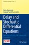 "Delay and Stochastic Differential Equations" von Elena Braverman und Anatoliy Swishchuk. Logos von ICIAM 2023 Tokyo und Springer., Buch