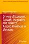 "Drivers of Economic Growth, Inequality, and Poverty Among Provinces in Vietnam" vor orangem Hintergrund mit Springer-Logo., Buch