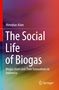 Titel: "The Social Life of Biogas". Untertitel: "Biogas Users and Their Innovations in Indonesia". Farbenfroh, mit Springer-Logo., Buch