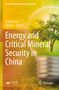 Text: "Climate Change and Energy Transition", "Xiaolei Sun, Qiang Ji Editors", "Energy and Critical Mineral Security in China". Baum in Glühbirne., Buch