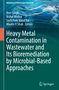 Buchtitel: "Heavy Metal Contamination in Wastewater...". Autoren: Veer Singh, Vishal Mishra und andere. Unten Springer-Logo., Buch