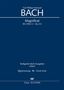 Carl Philipp Emanuel Bach (1714-1788): Magnificat BR-CPEB E 4, Wq 215 (1749), Noten