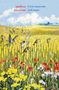Melissa Harrison: L' aria innocente dell'estate, Buch