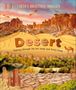 Anita Ganeri: Desert, Buch