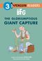 Roald Dahl: The Bfg: The Gloriumptious Giant Capture, Buch