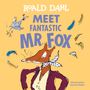 "MEET FANTASTIC MR. FOX" zeigt einen stilisierten Fuchs im Anzug mit bunten Federn im Hintergrund., Buch