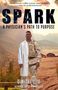 Dimitri Tito: Spark, Buch