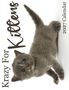 Text: "Krazy For Kittens" und "2027 Calendar". Ein grau getigertes Kätzchen liegt auf der Seite und schaut neugierig., Buch