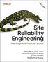 „Site Reliability Engineering: How Google Runs Production Systems“. Oben links O'Reilly-Logo. Illustration eines gelben Echse.