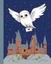 Insight Editions: Harry Potter: Hedwig Squishy Lock & Key Diary, Buch