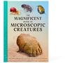 Anne Rooney: The Magnificent Book of Microscopic Creatures, Buch