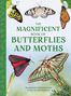 Barbara Taylor: The Magnificent Book of Butterflies & Moths, Buch