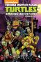 Landry Q Walker: Teenage Mutant Ninja Turtles: Amazing Adventures Omnibus, Buch