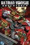 Matthew K Manning: Batman/Teenage Mutant Ninja Turtles Adventures, Buch