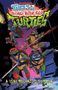 Oben steht: "Tales of the Teenage Mutant Ninja Turtles". Unten: "A Very Mechazoid Summer". Comic-Stil, Schildkröten in Action., Buch