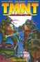 „TMNT Journeys“; oben stehen drei Namen: Peter Laird, Jim Lawson, Eric Talbot. Unten: „Volume One“. Vier Schildkröten mit Waffen., Buch