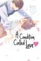Megumi Morino: A Condition Called Love 15, Buch