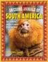 Amie Jane Leavitt: Awesome Animals of South America, Buch