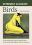 Tommy Siegel: Extremely Accurate Birds, Buch