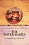 Charles Kingsley: The Water-Babies, Buch