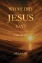 „WHAT DID JESUS SAY? Come and See. Melanie Joy.“ Sonnenuntergang über einem Berg- und Seepanorama.