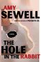 Amy Sewell: The Hole In The Rabbit, Buch