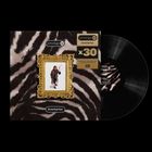 Text: "prodigy", "firestarter", "x30". Zebra-Muster Hintergrund mit goldenem Rahmen um ein Bild. Schallplatte rechts.