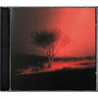 Ein einsamer Baum steht vor einem intensiven, rot-orangen Hintergrund in einer Landschaft bei Dunkelheit.
