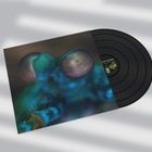 Eine Schallplatte mit einem Insekten-Makrofoto auf dem Cover und einer beschrifteten Etikette in der Mitte.