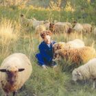 Eine Person sitzt in einem Feld mit Schafen und streichelt eines, während Sonnenlicht die Szene erhellt. 