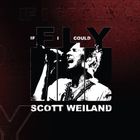 Text: "IF I COULD FLY SCOTT WEILAND." Schwarz-weißer Sänger mit Mikrofon. Hintergrund in dunklem Rot.