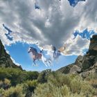 Oben: „CALIFORNIA“, „April 2004“, „Animal“, „Horses“. Illustration: Fliegende Pferde unter wolkigem Himmel über einer felsigen Landschaft.
