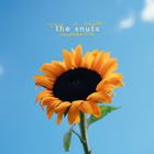 Text: "Joy in Short the Snuts Moments." Eine Sonnenblume vor blauem Himmel.