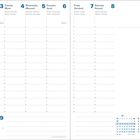 Kalender für Januar. Tage in mehreren Sprachen. Kleine Kalender für Januar und Februar unten rechts.