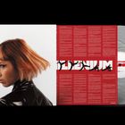 Ein Cover mit dem Text "LIZANE PLENIUM". Links eine Frau mit rotem Haar in schwarzer Jacke, rechts eine silberne Vinyl-Schallplatte.