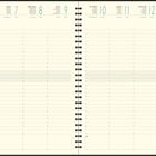 Kalendereintrag: Montag, 6. bis Sonntag, 12. Januar. Termine und Notizen sind in einer Wochenübersicht angeordnet.