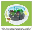 Selbst Gemüse wachsen lassen ohne Erde? Ganz einfach säen, beobachten und ernten! Runde Mini-Gewächshaus-Illustration.