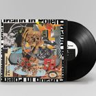 Text "Objects, Beings & Parrots" auf bunt collagiertem Plattencover, daneben eine schwarze Schallplatte.