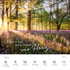 "Stille im Kopf bringt Klarheit ins Herz." März-Kalender: 8. Montag bis 14. Sonntag, KW 10. Sonnenlicht durchflutet Waldszene mit lila Blumen.